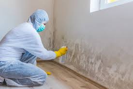 Best Emergency Mold Remediation  in Watertown, FL