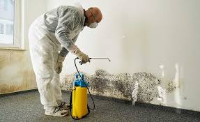 Best Industrial Mold Remediation  in Watertown, FL